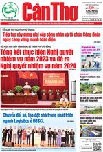 Số 330, Chủ Nhật (3-12-2023)