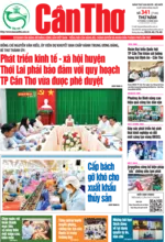 Số 341, Thứ Năm (14-12-2023)