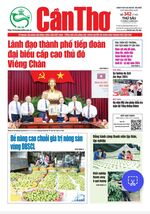 Số 342, Thứ Sáu (15-12-2023)