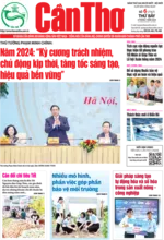 Số 6, Thứ Bảy (6-1-2024)