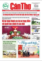 SỐ 11 (Thứ 5 ngày 11 /1/2024)