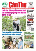 SỐ 23 (Thứ 3 ngày 23 /1/2024)