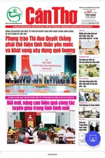 Số 207 (Thứ 5, ngày 01/8/2024)