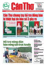 SỐ 173. (Thứ 6 ngày 13/9/2024)