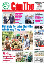 Số 332, Thứ Tư (ngày 4-12-2024)