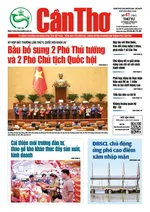 SỐ 41 (Thứ 4 ngày 19/2/2025)