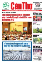 SỐ 119 (Thứ 5 ngày 8/5/2025)