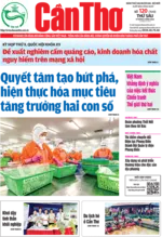 SỐ 120 (Thứ Sáu ngày 9/5/2025)