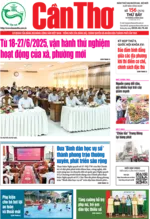 SỐ 156 (Thứ Bảy, ngày 14/6/2025)