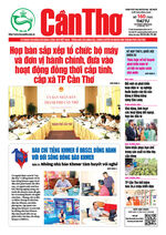 Số 160, Thứ Tư (18/6/2025)