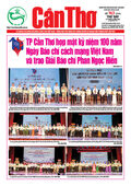 Số 163, Thứ Bảy (21/6/2025)