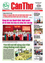 Số 3, Thứ Năm (3/7/2025)