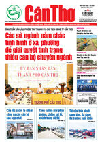 Số 5, Chủ Nhật (6/7/2025)