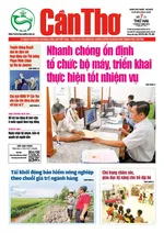 SỐ 7 (Thứ hai,  ngày 7/7/2025)