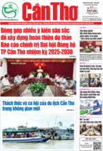 Số 11, Thứ Sáu (11/7/2025)