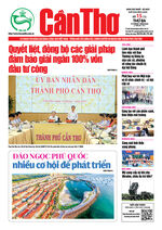 Số 15, Thứ Ba (15/7/2025)