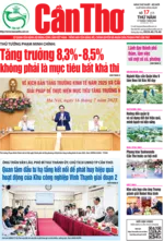 SỐ 17 (Thứ Năm, ngày 17/7/2025)