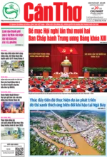 SỐ 20 (Chủ Nhật, ngày 20/7/2025)