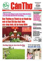 SỐ 31 (Thứ năm, ngày 31/7/2025)