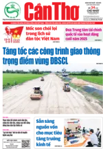 Số 34, Chủ Nhật (3/8/2025)