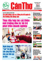 Số 37, Thứ Tư (6/8/2025)
