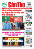 Số 41, Chủ Nhật (10/8/2025)