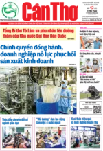 Số 42, Thứ Hai (11/8/2025)