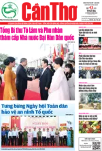 Số 43, Thứ Ba (12/8/2025)