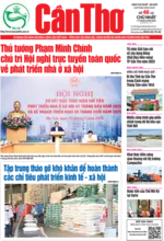 Số 48, Chủ Nhật (17/8/2025)