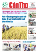 Số 49, Thứ Hai (18/8/2025)