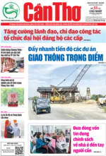 Số 55, Chủ Nhật (24/8/2025)