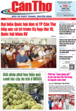 Số 100, Thứ Tư (8/10/2025)