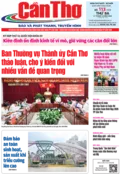 Số 113, Thứ Ba (21/10/2025)