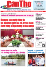 Số 123, Thứ Sáu (31/10/2025)