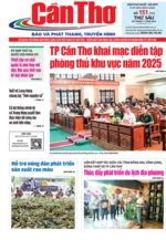 Số 151, Thứ Sáu (28/11/2025)