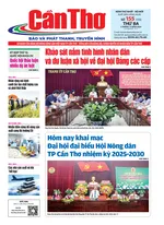 Số 155, Thứ Ba (02/12/2025)