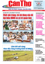 Số 163, Thứ Tư (10/12/2025)