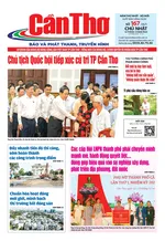 Số 167, Chủ Nhật (14/12/2025)