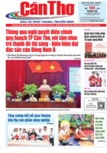 Số 184, Thứ Tư (31/12/2025)