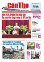 Số 11, Chủ Nhật (11/01/2026)