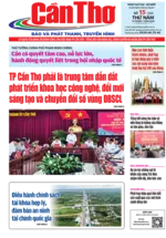 Số 15, Thứ Năm (15/01/2026)