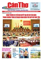 Số 39, Chủ Nhật (8/2/2026)