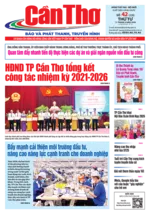 Số 42, Thứ Tư (11/2/2026)