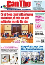 Số 47, Thứ Tư (25/2/2026)