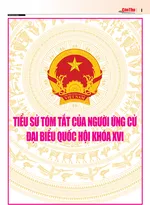 Tiểu sử tóm tắt của người ứng cử đại biểu Quốc hội khóa XVI