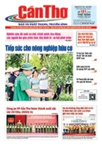 Số 181, Thứ Năm (09/07/2026)