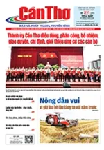 Số 211, Thứ Bảy (08/08/2026)