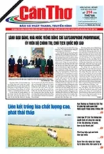 Số 214, Thứ Ba (11/08/2026)