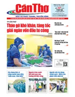 Số 221, Thứ Ba (18/08/2026)