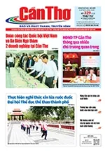 Số 229, Thứ Tư (26/08/2026)